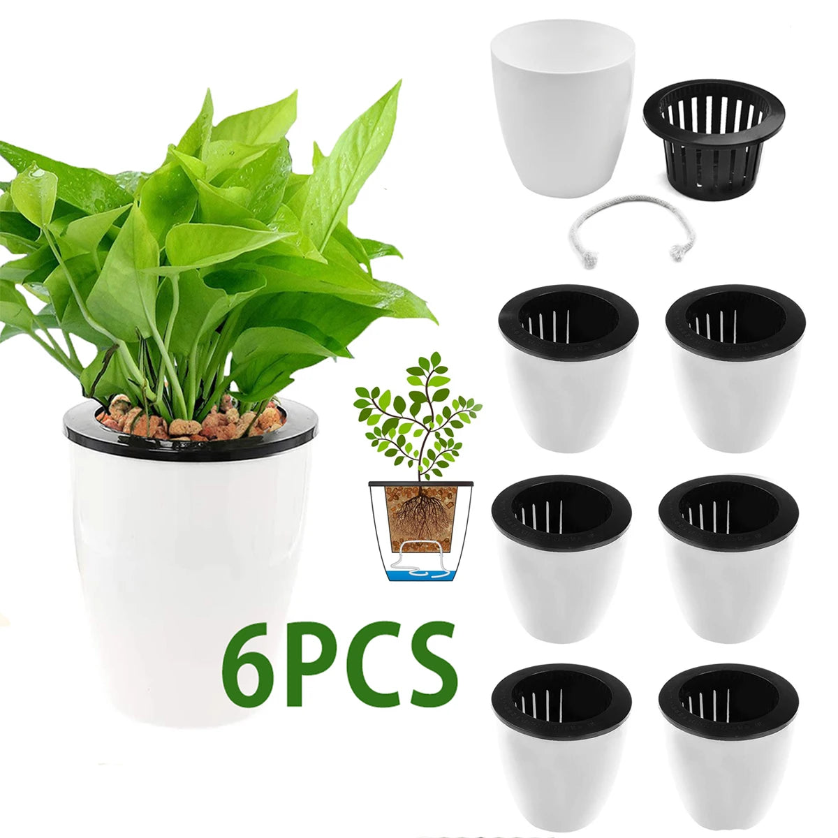 Leaf & Leash Self-Watering Indoor Pots – Set of 6
