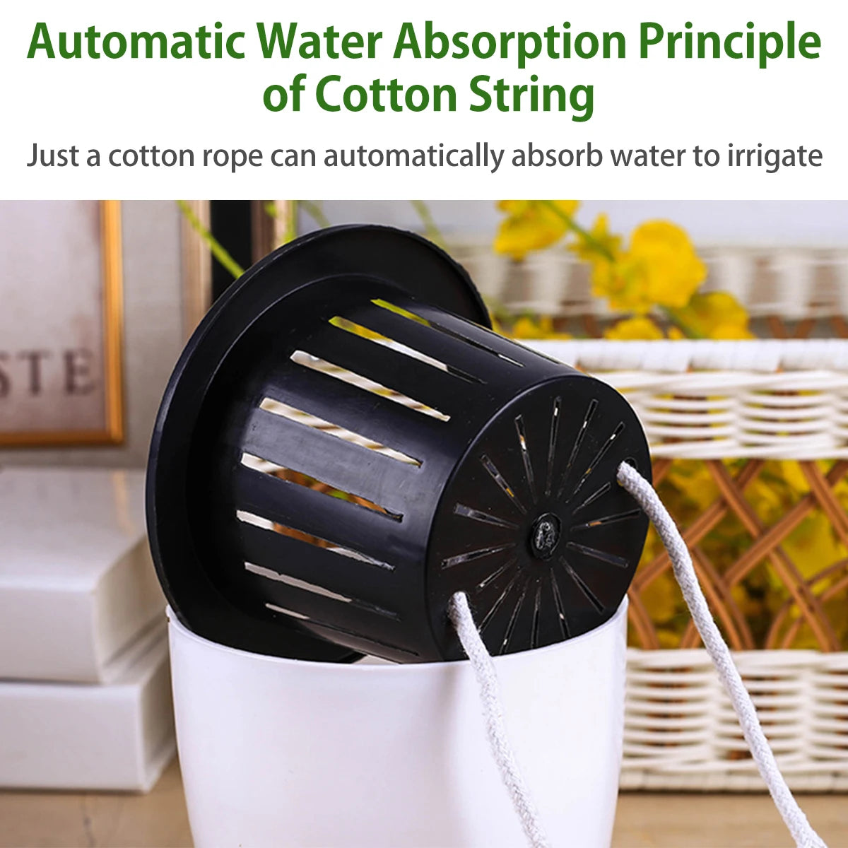 Leaf & Leash Self-Watering Indoor Pots – Set of 6