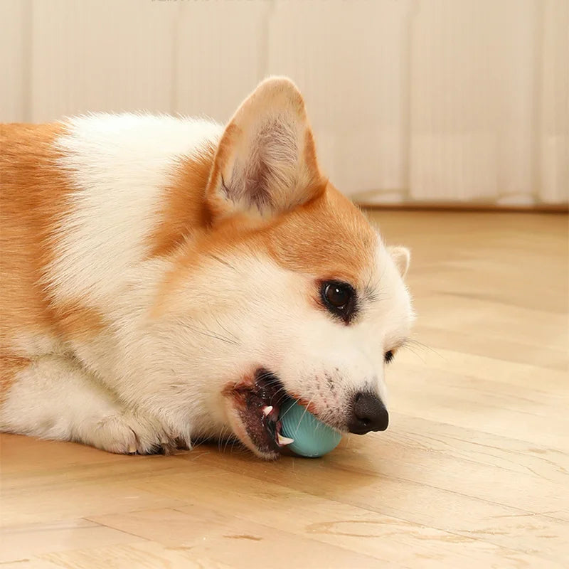 2023 NEW Electric Dog Toys Smart Puppy Ball Toys For Cat Small Dogs Funny Auto Rolling Ball Self-moving Puppy Games Toys Pe